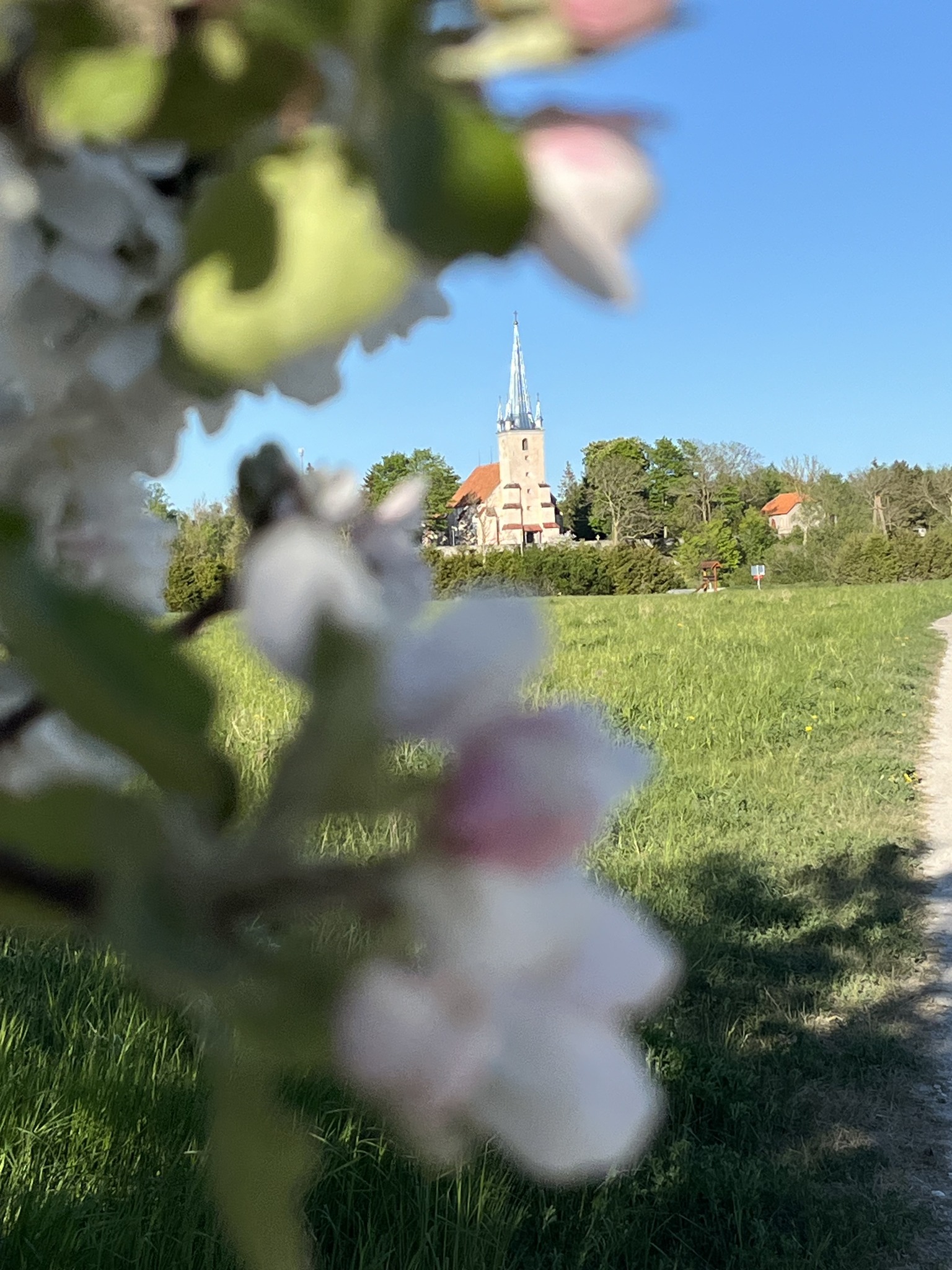 Alates augusti algusest pean igal pühapäeval kell 11 ja 14.30 jumalateenistused kahes oma uues: Harju-Madise ja Paldiski kirikutes.